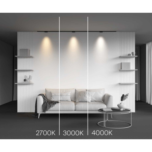 
                    Трековый светильник Maytoni Technical Points TR193-1-5W4K-M-B        
    