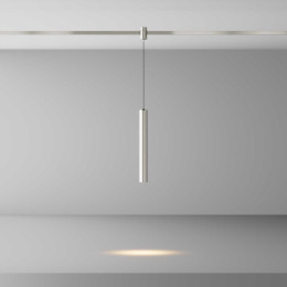 Трековый светильник Maytoni Technical TR155-1-5W3K-PT