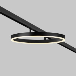 Трековый светильник Maytoni Technical TR227-2-24W3K-B