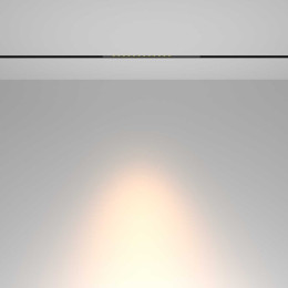 Трековый светильник Maytoni Technical TR232-2-10W3K-B