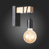 
                    Бра Evoluce Bagetti SL1142.401.01        
    
