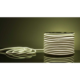 Гибкий неон Elektrostandard 9,6W/m 120LED/m 2835SMD белый 50M a040597