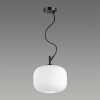 
                    Подвесной светильник Odeon Light Pendant Roofi 4753/1        
    