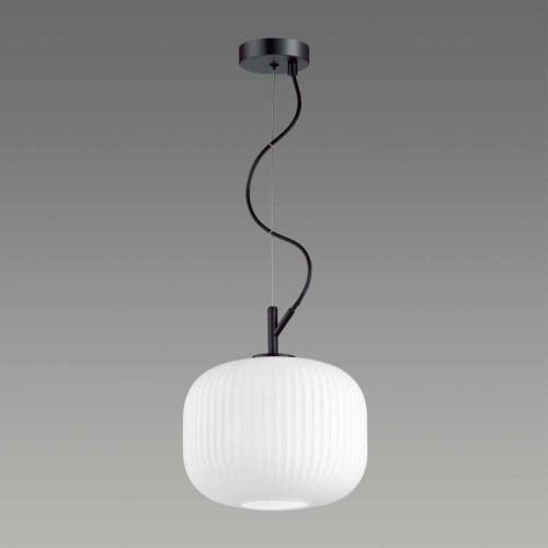 
                    Подвесной светильник Odeon Light Pendant Roofi 4753/1        
    