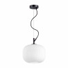 
                    Подвесной светильник Odeon Light Pendant Roofi 4753/1        
    
