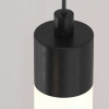 
                    Подвесной светильник Maytoni Ray P022PL-L20B3K        
    