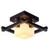 
                    Потолочный светильник Arte Lamp 95 A8252PL-1CK        
    