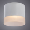 
                    Потолочный светильник Arte Lamp Castor A5554PL-1WH        
    