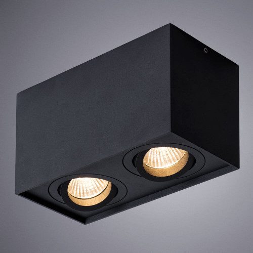 
                    Потолочный светильник Arte Lamp Factor A5544PL-2BK        
    