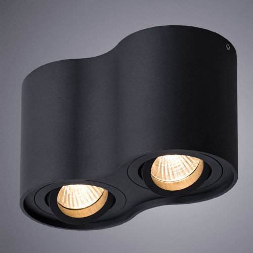 
                    Потолочный светильник Arte Lamp Falcon A5645PL-2BK        
    