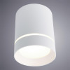 
                    Потолочный светодиодный светильник Arte Lamp A1909PL-1WH        
    
