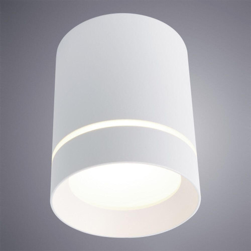 
                    Потолочный светодиодный светильник Arte Lamp A1909PL-1WH        
    