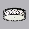 
                    Потолочный светодиодный светильник Sonex Avra Fabiana 7700/60L        
    