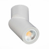 
                    Спот ST Luce ST650.502.01        
    