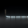 
                    Светодиодная лента Elektrostandard 8W/m 120LED/m холодный белый 5M a056427        
    