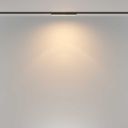Трековый светильник Maytoni Technical TR183-1-12WTW-B