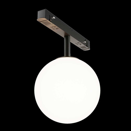 
                    Трековый светодиодный светильник Maytoni Technical Luna TR038-2-5W4K        
    