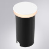 
                    Ландшафтный светодиодный светильник Arte Lamp Piazza A3601IN-1WH        
    