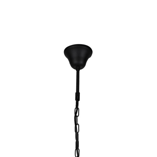 
                    Подвесной светильник Favourite Situla 1975-1P        
    