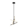 
                    Подвесной светильник Freya Modern FR5557PL-L32B        
    