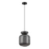
                    Подвесной светильник Odeon Light JUGI 5042/1B        
    