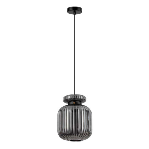 
                    Подвесной светильник Odeon Light JUGI 5042/1B        
    