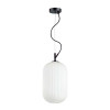 
                    Подвесной светильник Odeon Light Pendant Roofi 4751/1        
    