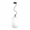
                    Подвесной светильник Odeon Light Pendant Roofi 4751/1        
    