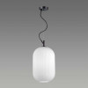
                    Подвесной светильник Odeon Light Pendant Roofi 4752/1        
    