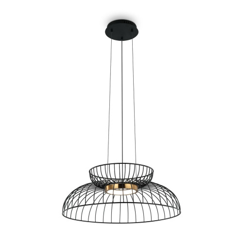 
                    Подвесной светодиодный светильник Freya Citrus FR5398PL-L6B        
    