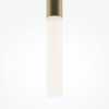 
                    Подвесной светодиодный светильник Maytoni Pro Shade MOD157PL-L6GK        
    