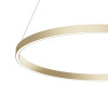 
                    Подвесной светодиодный светильник Maytoni Rim MOD058PL-L42BSK        
    