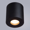
                    Потолочный светильник Divinare Galopin 1460/04 PL-1        
    