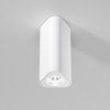 
                    Потолочный светильник Elektrostandard 25110/LED a067062        
    