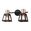 
                    Спот Vele Luce Carisma VL6462W02        
    