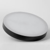 
                    Торшер Lussole Carmel LSP-0901-SE        
    