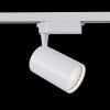 
                    Трековый светильник Maytoni Technical TR003-1-30W4K-W        
    